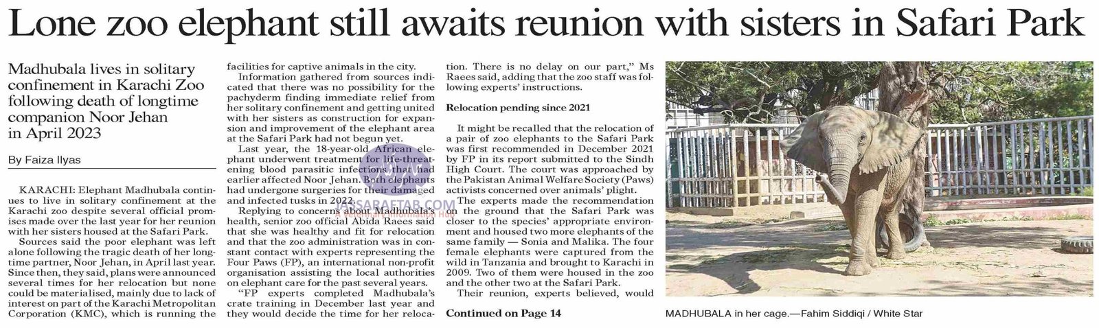 Elephant Madhubala solitary confinement at Karachi zoo Safari Park after Elephant Noor Jehan