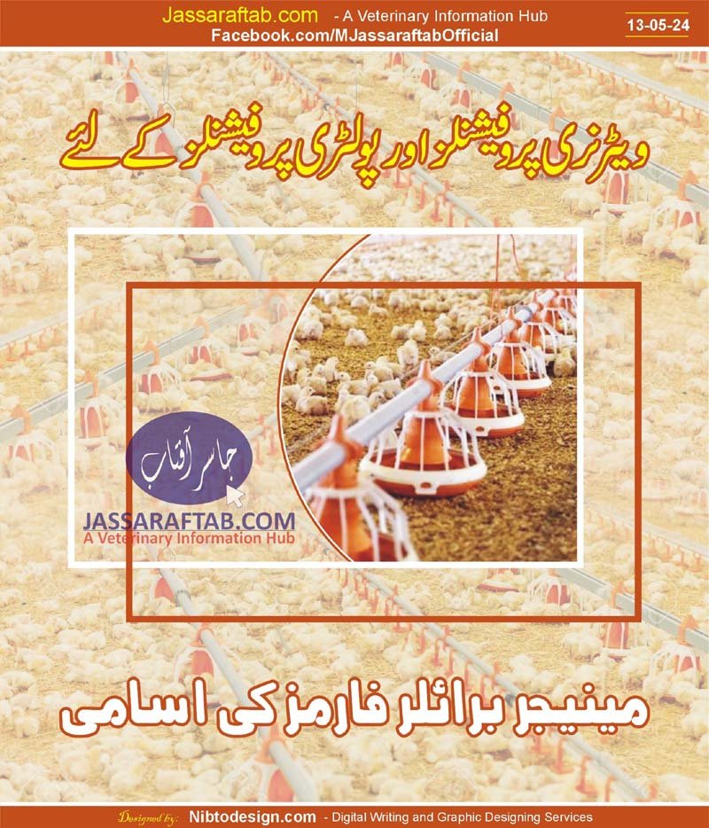 Jalal Din Chicks Farms Jobs