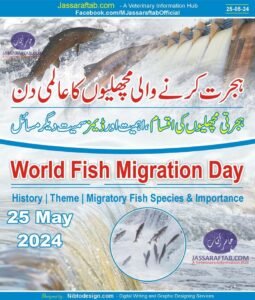 World Fish Migraotory Day and Importance of Migratory Fish Species