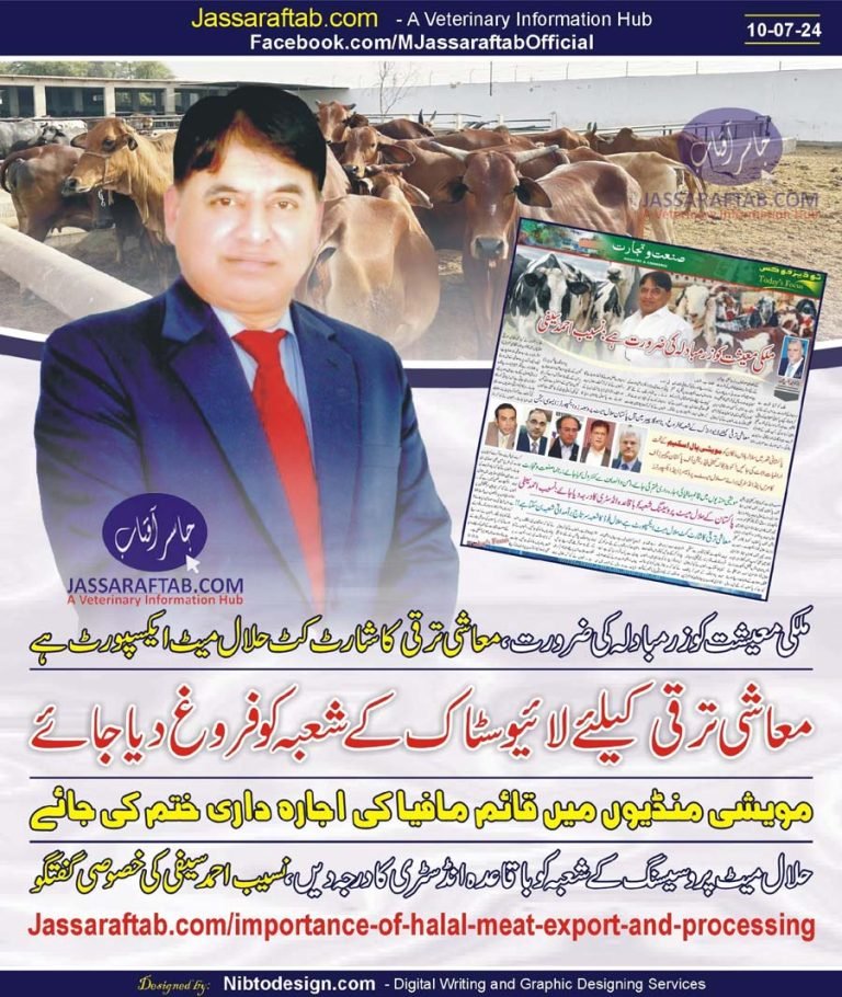 Halal Meat Export Importance | Meat Processing | Nasib Saifi