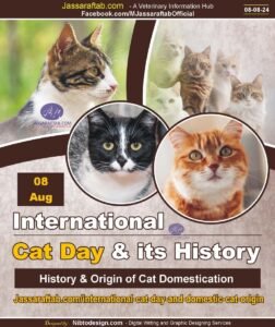 History of International Cat Day and Domestic Cat Origin