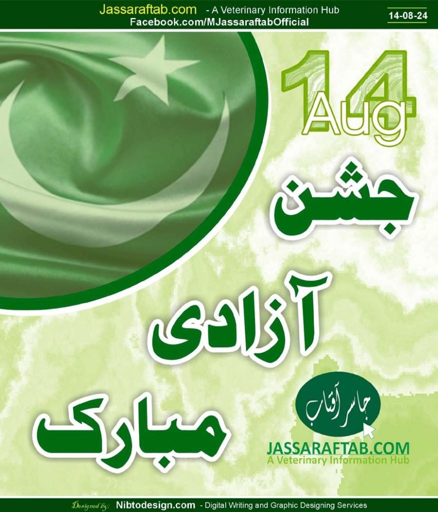 Happy Independence Day 2024 | جشنِ آزادی مبارک 
