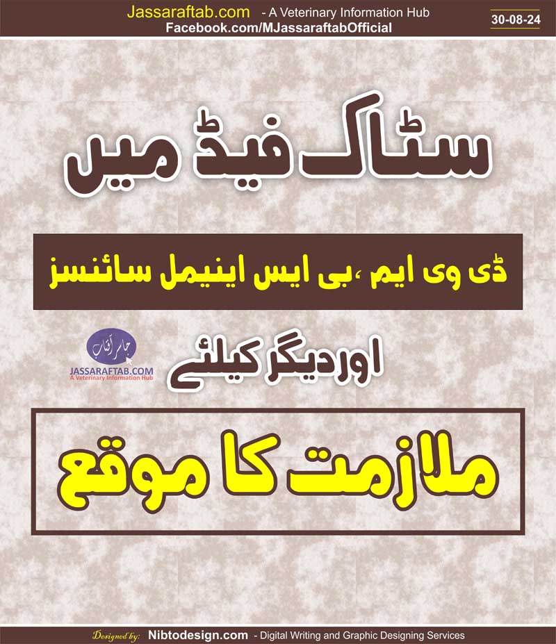 سٹاک فیڈ میں ویٹرنری پروفیشنلز اور دیگر کیلئے ملازمت کا موقع