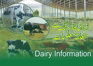 Information of Dairy Farming in Pakistan