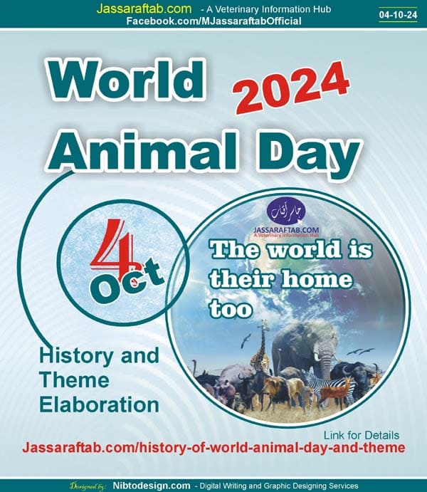 World Animal Day History Significance Theme Elaboration