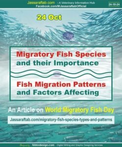 Types of Migratory Fish Species and Fish Migration Patterns