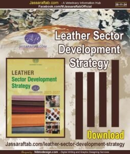 Leather Sector Development Strategy