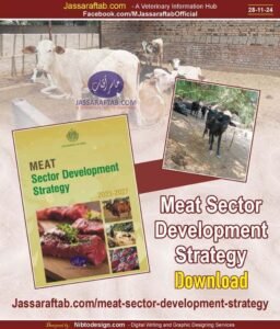 Meat Development Strategy