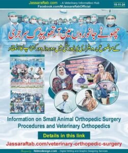 Small Animals Orthopedic Surgery and Veterinary Orthopedics