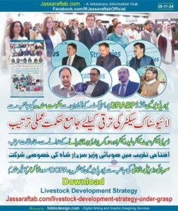 Strategy for Development of Livestock