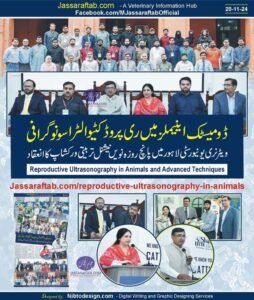 Veterinary Ultrasonography and Ultrasound for Animals