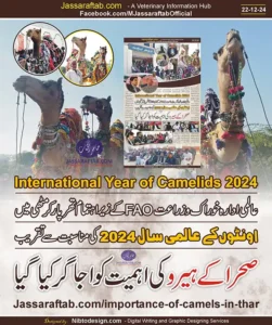 International Year of Camel 2024 in Pakistan