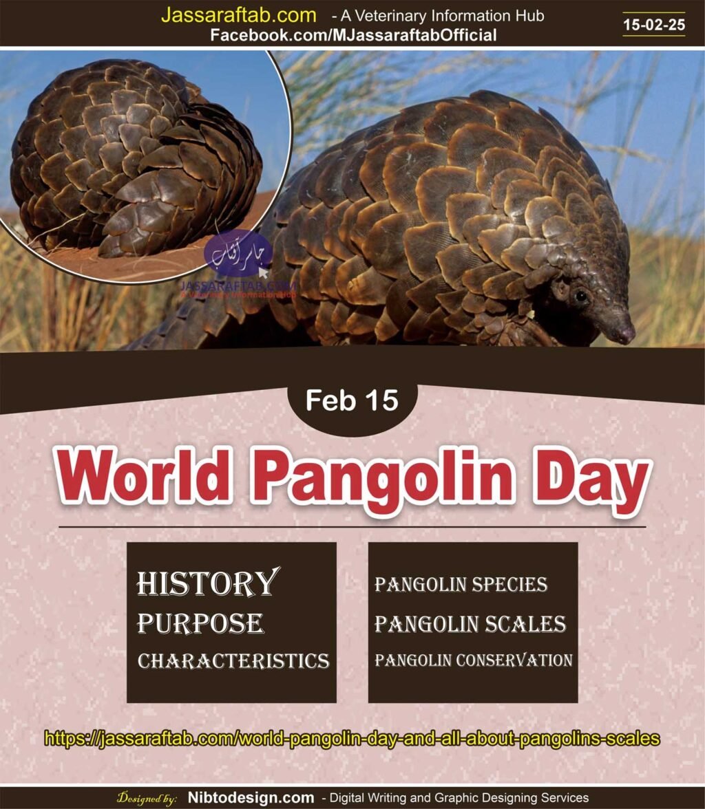 World Pangolin Day its History Pangolin Conservation Pangolin Scales Pangolins Habitat and Pangolins Species Illegal Wildlife Trade