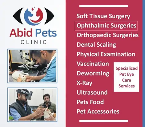 Abid Pets Clinic and Animal Eye Clinic in Lahore | A Veterinary Information Hub Abid Pets Clinic and Animal Eye Clinic in Lahore
