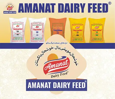 Amanat Dairy Feed - Amanat Wanda | A Veterinary Information Hub Amanat Dairy Feed - Amanat Wanda