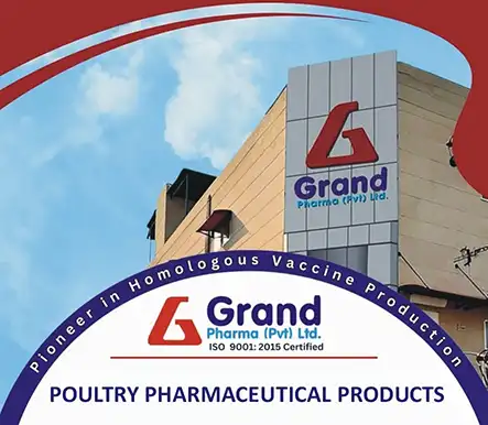 Antibiotics for Poultry and other Poultry Medicines by Grand Pharma | A Veterinary Information Hub Antibiotics for Poultry and other Poultry Medicines by Grand Pharma