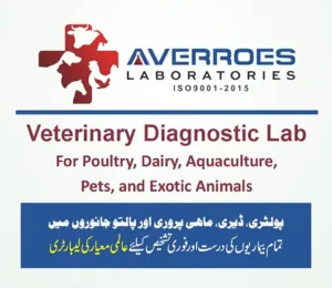 Averroes Laboratories – Veterinary Diagnostic Lab