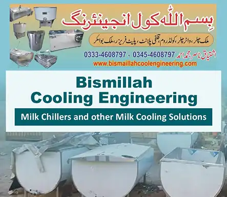 Bismillah Cooling Engineering - Milk Chillers and Milk Cooling Tanks | A Veterinary Information Hub Bismillah Cooling Engineering - Milk Chillers and Milk Cooling Tanks