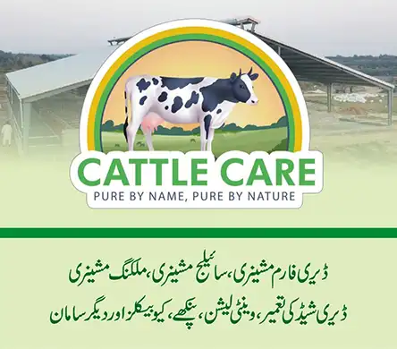 Cattle Care - Dairy Shed Construction and Dairy Machinery | A Veterinary Information Hub Cattle Care - Dairy Shed Construction and Dairy Farm Machinery