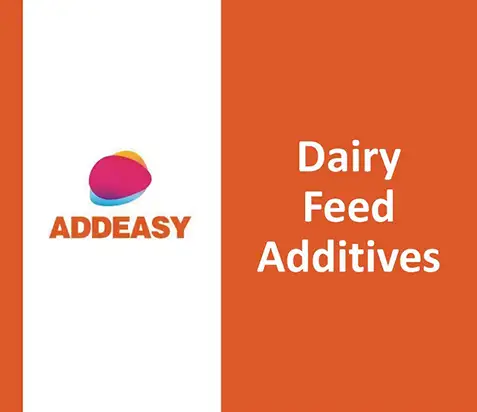 Dairy Feed Additives by Addeasy | A Veterinary Information Hub Dairy Feed Additives by Addeasy