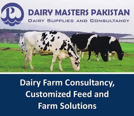 Dairy Masters Pakistan - Dairy Farm Consultancy and Dairy Feeding Company | A Veterinary Information Hub Dairy Masters Pakistan - Dairy Farm Consultancy and Dairy Feeding Company
