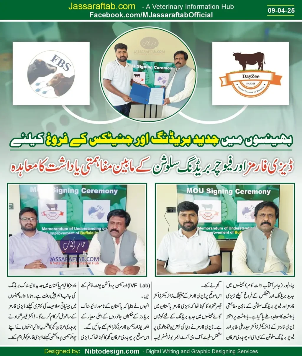 Dayzee Farms MOU with Future Breeding Solutions for Livestock and Buffalo Breeding