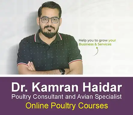 Dr Kamran Haidar - Poultry Consultant and Avian Specialist | A Veterinary Information Hub Dr Kamran Haidar - Poultry Consultant and Avian Specialist