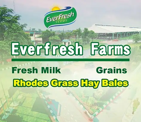 Everfresh Farms | A Veterinary Information Hub Everfresh Farms - Ever Fresh Dairy Farm