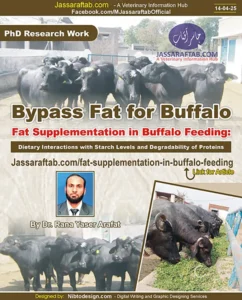 Fat Supplementation in Buffalo Feeding - Bypass for Fat