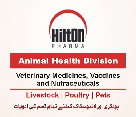 Hilton Pharma Veterinary Products | A Veterinary Information Hub Hilton Pharma Veterinary Products