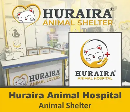 Huraira Animal Hospital and Huraira Animal Hospital | A Veterinary Information Hub Huraira Animal Hospital and Huraira Animal Hospital