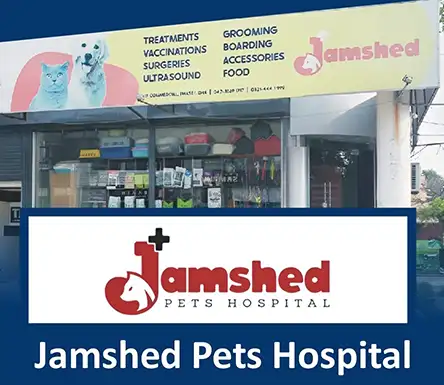 Jamshed Pets Hospital in Lahore | A Veterinary Information Hub Jamshed Pets Hospital in Lahore - Treatment, Pet Styling, Pet Grooming and other services