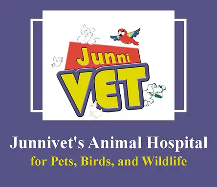 Junnivets Animal Hospital for Pets Birds and Wildlife | A Veterinary Information Hub Junnivet’s Animal Hospital for Pets, Birds, and Wildlife
