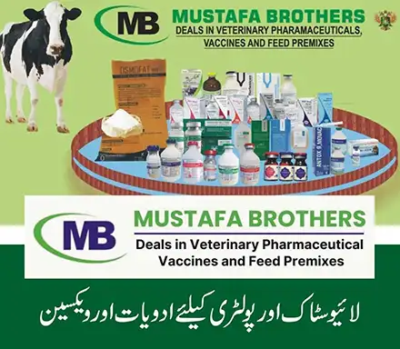 Mustafa Brothers - Animal Health Solutions | A Veterinary Information Hub Mustafa Brothers - Animal Health Solutions and Vaccines for Livestock
