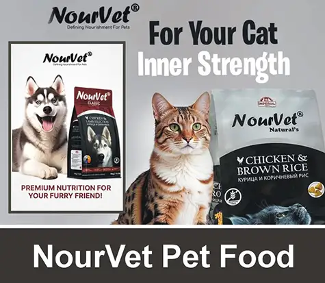 Nourvet Cat Food and Dog Food | A Veterinary Information Hub Nourvet Cat Food and Dog Food
