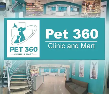 Pet 360 - Best Pet Clinic in DHA Lahore | A Veterinary Information Hub Pet 360 - Best Pet Clinic in DHA Lahore