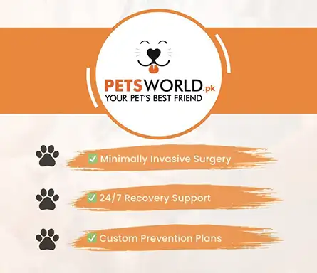 Pets World Pet Clinic and Pet Accessories | A Veterinary Information Hub Pets World Pet Clinic and Pet Accessories