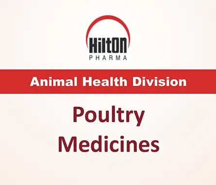 Poultry Pharmaceuticals by Hilton Pharma | A Veterinary Information Hub Poultry Pharmaceuticals by Hilton Pharma - Poultry Antibiotics and Poultry Anticoccidial Drugs