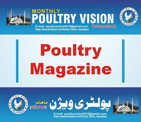 Poultry Vision - Poultry Magazine | A Veterinary Information Hub Poultry Vision - Poultry Magazine