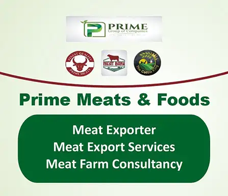 Prime Meats and Foods - Halal Meat Export Company | A Veterinary Information Hub Prime Meats and Foods - Halal Meat Export Company