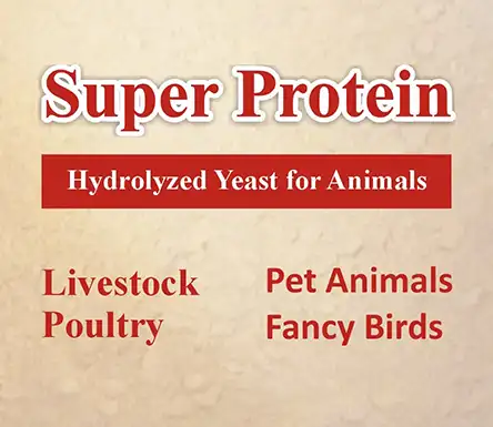 Super Protein Hydrolyzed yeast for animals | A Veterinary Information Hub Super Protein Hydrolyzed yeast for animals
