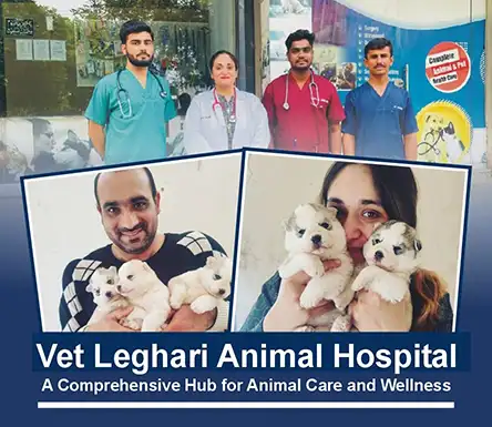 Vet Leghari Animal Hospital | A Veterinary Information Hub Vet Leghari Animal Hospital