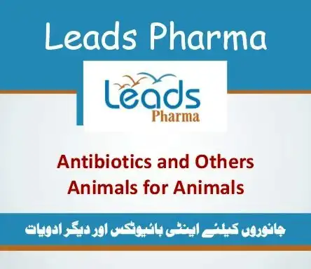 Veterinary Antibiotics and Antiprotozoals - Leads Pharma Veterinary Products | A Veterinary Information Hub Veterinary Antibiotics and Antiprotozoals - Leads Pharma Veterinary Products