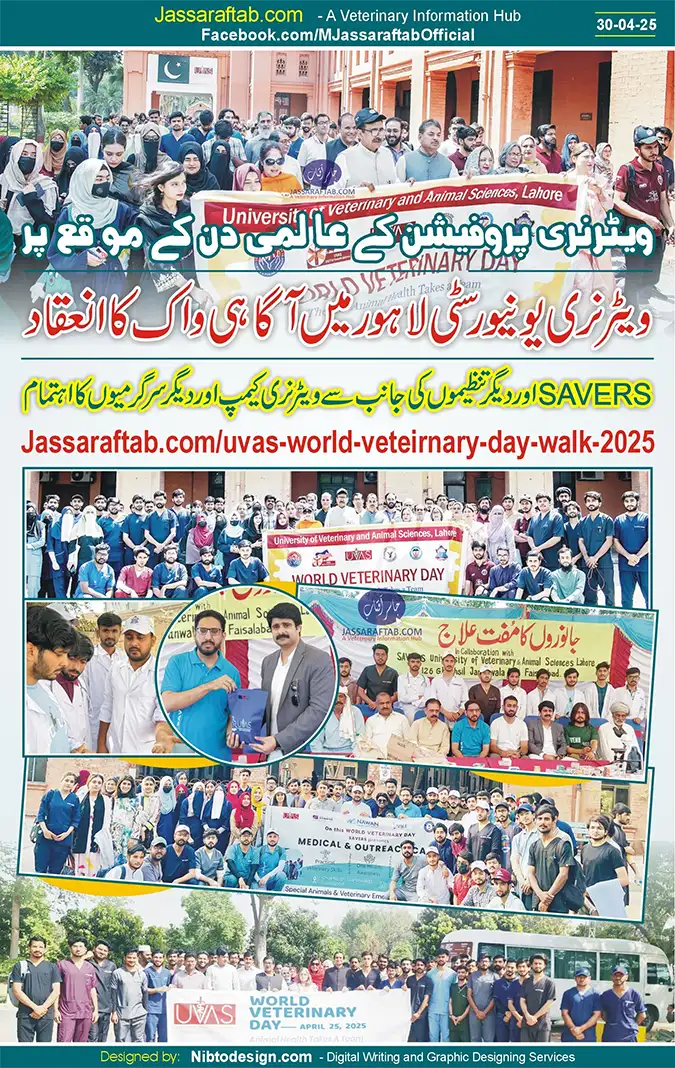 Veterinary Camp and Walk on International Veterinary Day | A Veterinary Information Hub Veterinary Camp and Walk on International Veterinary Day