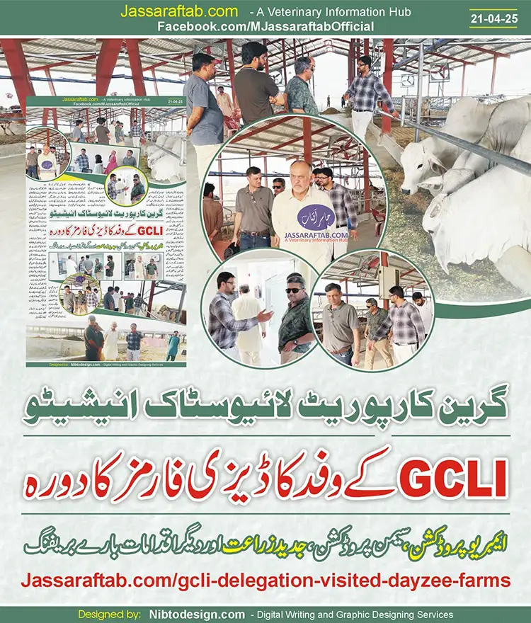 Visit of IVF Lab for Cattle Embryo Production | A Veterinary Information Hub Visit of IVF Lab for Cattle Embryo Production