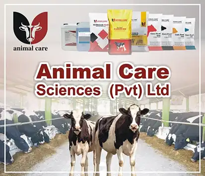Animal Care Sciences - Dairy Farm Consultancy Services Dairy Feed and other Products | A Veterinary Information Hub Animal Care Sciences - Dairy Farm Consultancy Services Dairy Feed and other Products