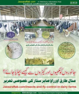 Dairy Farm Fly Control and Insect Control