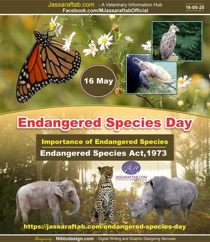 Endangered Species Day and Threatened Species and Endangered Species Act 1973 ESA - Copy