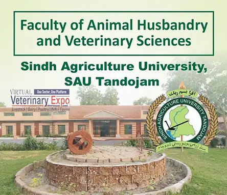 FAHVS Tandojam - Tandojam DVM Degree DVM Tandojam | A Veterinary Information Hub FAHVS Tandojam DVM Degree - DVM Tandojam