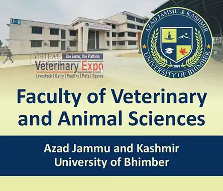 FVAS Bhimber - Azad Jammu and Kashmir University of Bhimber | A Veterinary Information Hub FVAS Bhimber - Azad Jammu and Kashmir University of Bhimber